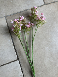 Gipskruid roze 52cm