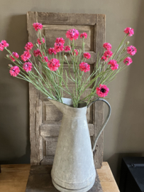Korenbloem, 66cm roze