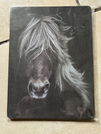 Paneeltje paard