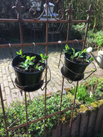 Zwart metalen plantenbakje