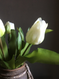 Witte tulpen 32cm