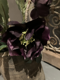Kunst helleborus bush, paars