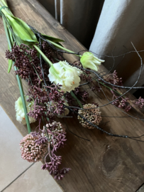 Bos tulpen, prunus, allium 52cm