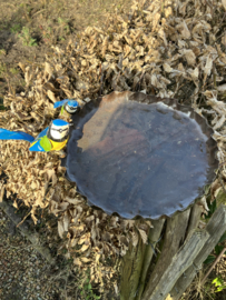 Waterschaal, pimpelmeesjes