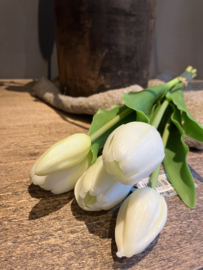Witte tulpen, 38cm