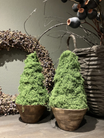 Hand made boompje in houten bakje