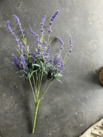 Kunst lavendel