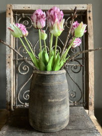 Parrot tulpen, paars 40cm