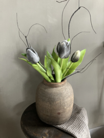 Bosje tulpen, black 30cm.