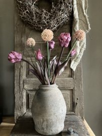 Bos tulpen, allium, tak