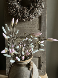 Magnolia tak, roze