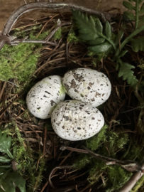 Nestje met eitjes