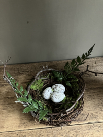 Nestje met eitjes