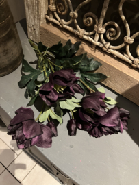 Kunst helleborus bush, paars