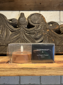 Waxinelichten led, terra