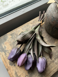 Tulpen paars, 31cm