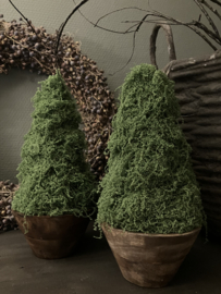 Hand made boompje in houten bakje