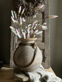 Magnolia tak, roze