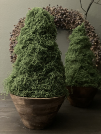 Hand made boompje in houten bakje