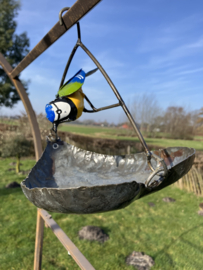 Voederhanger met pimpelmeeshe, 2