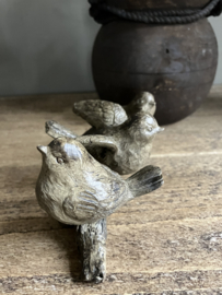 Vogeltjes op tak