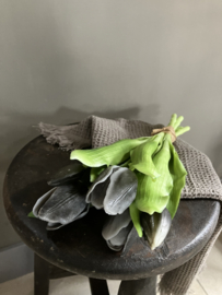 Bosje tulpen, black 30cm.