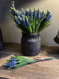 Kunst blauwe druifjes