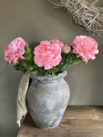 Pioenroos roze