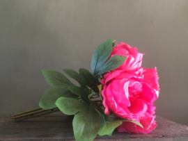 Pioenrozen, bosje met 6 bloemen