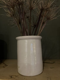 Oude zalfpot, creme
