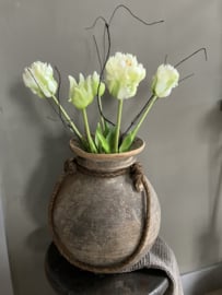 Kunst parrot, papagaai tulpen, wit