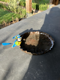 Waterschaal, pimpelmeesjes