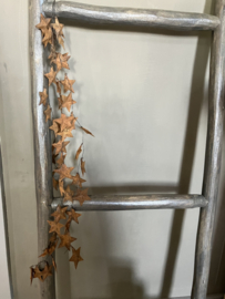 Hanger met roest sterren