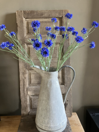 Korenbloem blauw, 66cm