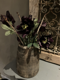 Kunst helleborus bush, paars