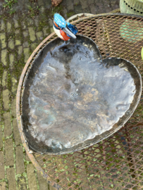 Water/voederschaal op voet, ijsvogeltje