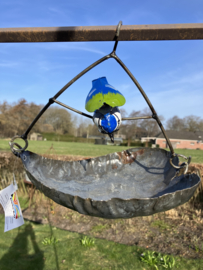 Voederhanger met pimpelmeeshe, 2