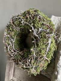 Moskrans met bonsai, 30cm