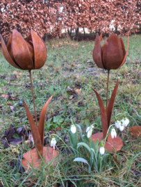 Roest metalen tulp, 28cm