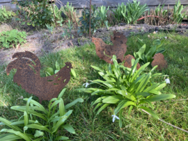 Kip, haan met 2 kuikens roest metaal