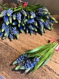 Kunst blauwe druifjes