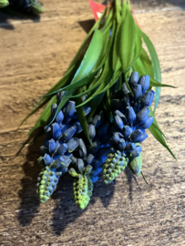 Kunst blauwe druifjes