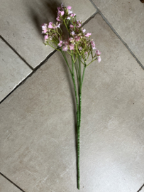 Gipskruid roze 52cm