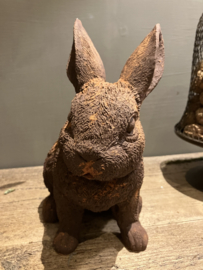 Haasje in roest verf