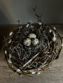 Nestje met eitjes