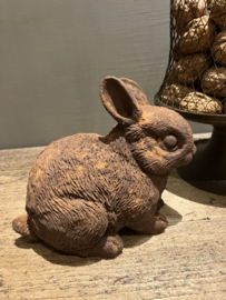 Konijntje in roest verf
