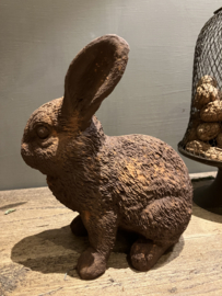 Haasje in roest verf