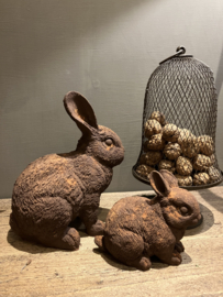 Haasje in roest verf