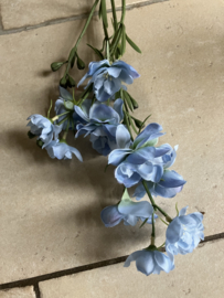 Delphinium blauw, 65cm.