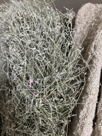 Krans wild grace, 40cm